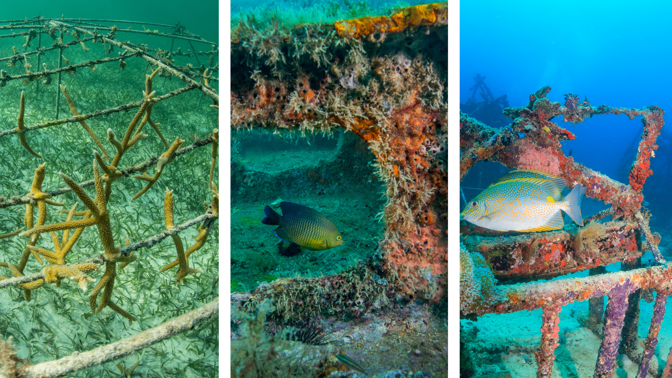 Three different types of reefs are shown side by side in a collage to demonstrate the wide variety of requests a contractor might get for building artificial reefs.